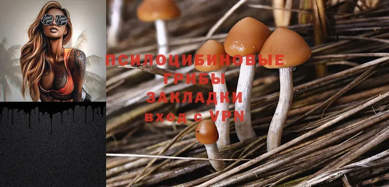 Галлюциногенные грибы Magic Shrooms  купить закладку  Можайск 